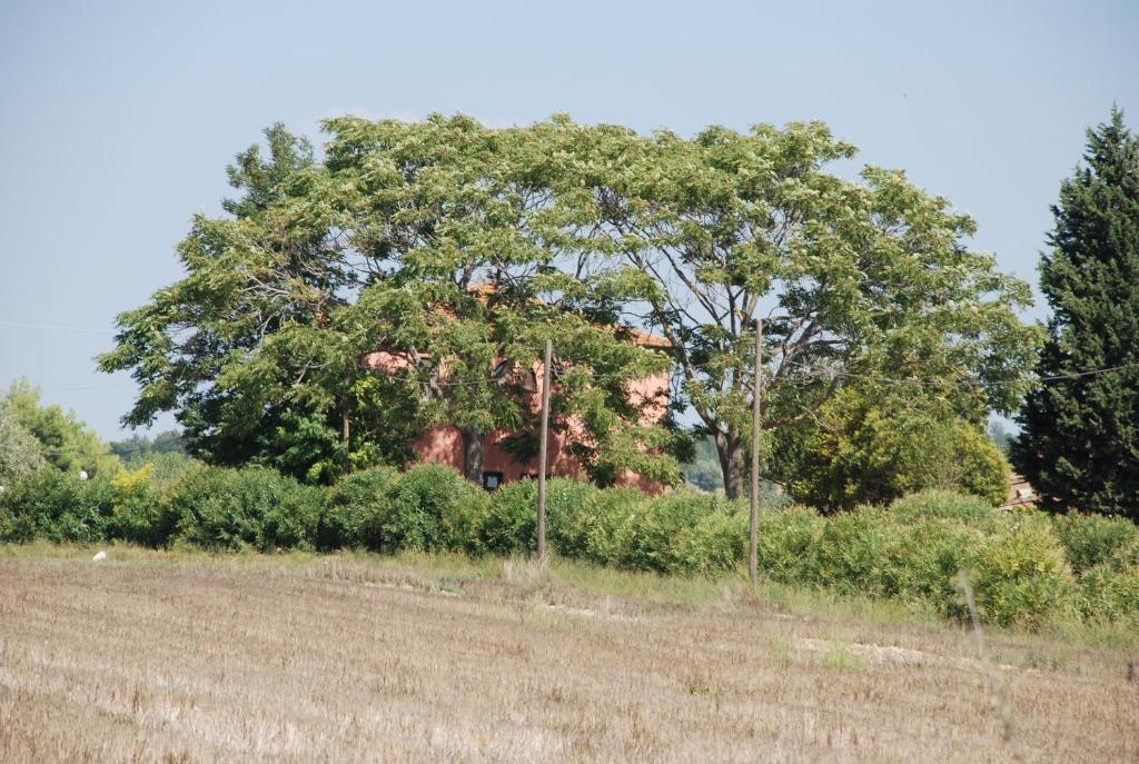 Agriturismo Le Coccinelle Guest House Magliano in Toscana Exterior photo