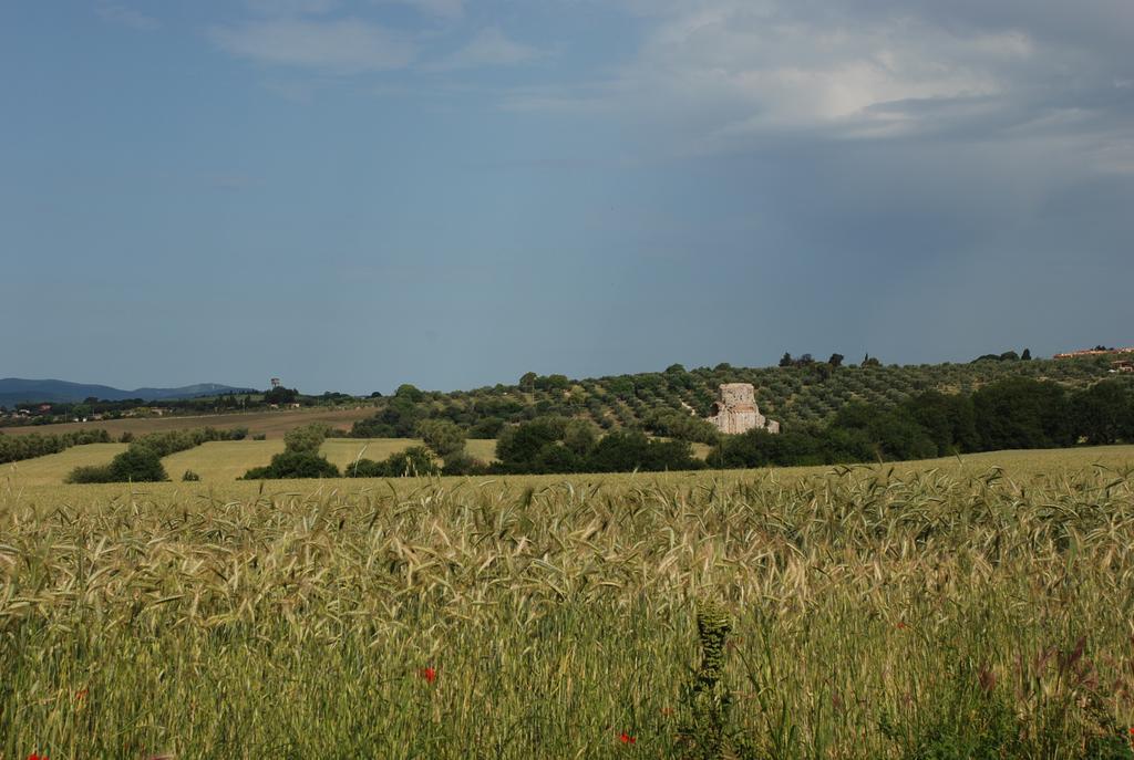 Agriturismo Le Coccinelle Guest House Magliano in Toscana Exterior photo